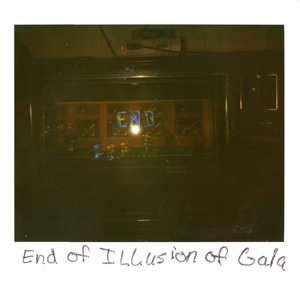 polaroid picture of the final screen shot of the illusion of gaia ending